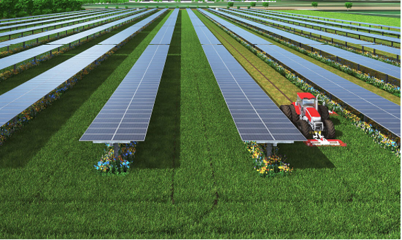 Grafik_Ideematec_Grass